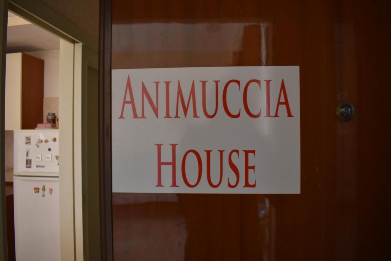 Casa Vacanze "Animuccia House" Roma Dış mekan fotoğraf